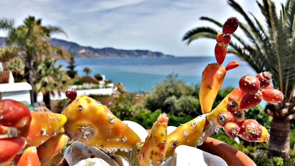 Villa Carabeo เนร์คา ภายนอก รูปภาพ